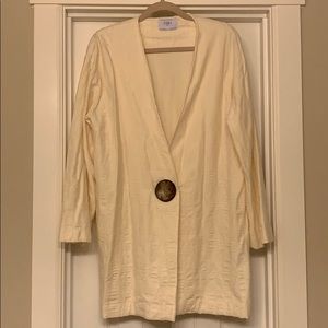 Fashion bloggers must have Zara dress